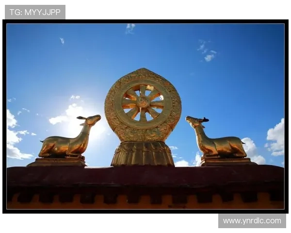 新还珠格格:19对角色关系图谱,错综复杂,让你一次看懂! 新还珠格格:19对角色关系图谱,错综复杂,让你一次看懂!