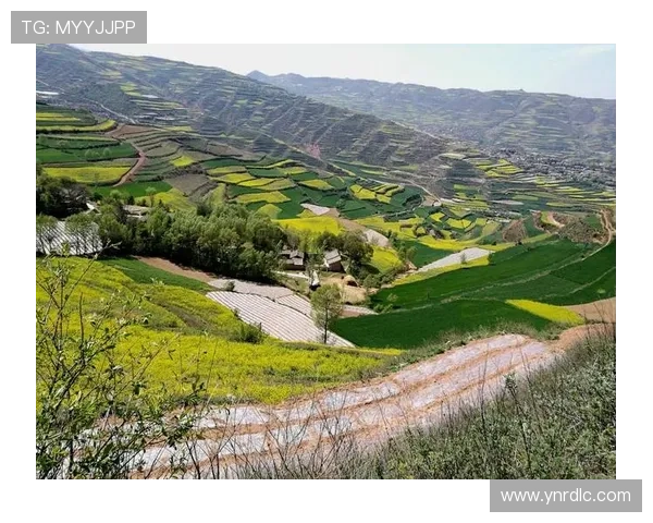 刺陵:一曲荡气回肠的英雄挽歌,一段荡涤灵魂的史诗传奇 刺陵:一曲荡气回肠的英雄挽歌,一段荡涤灵魂的史诗传奇