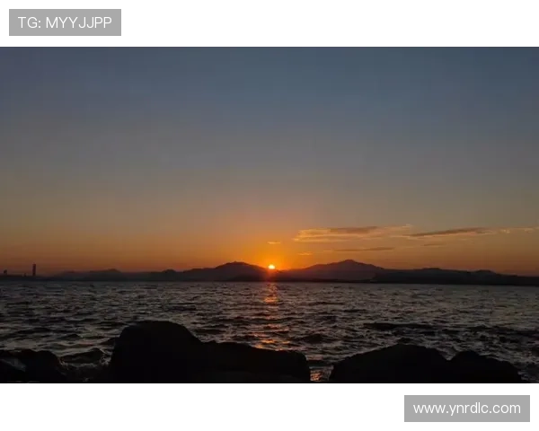 少年同盟:那年夏天,我们一起追逐的星辰大海 少年同盟:那年夏天,我们一起追逐的星辰大海