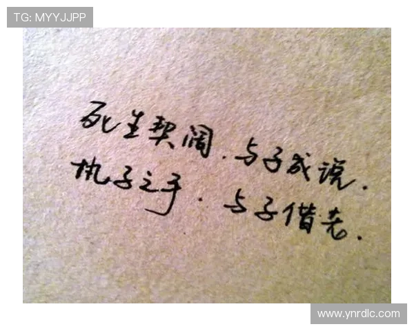 与子成说:一场关于承诺与共鸣的心灵之旅 与子成说:一场关于承诺与共鸣的心灵之旅