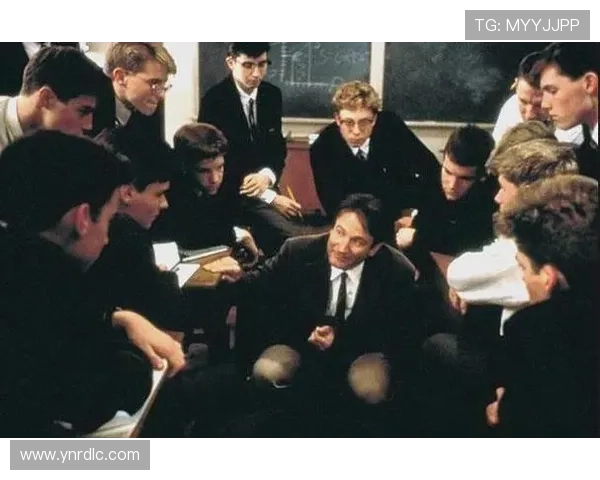 光影交织的温柔：那些年，我们一起追的电影时光