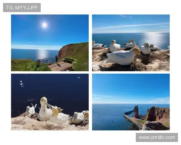 深呼吸电影：让心灵在光影中舒展的静谧之旅