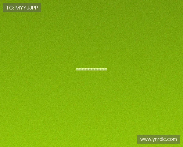 战无双:一段史诗般的征途,一份不朽的传奇 战无双:一段史诗般的征途,一份不朽的传奇