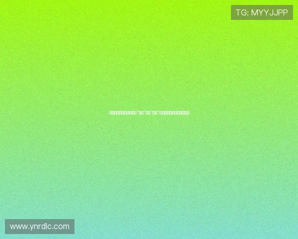 暗夜玫瑰，柔情铁汉：当“黑道”遇上“看护”，一场惊心动魄的救赎之旅